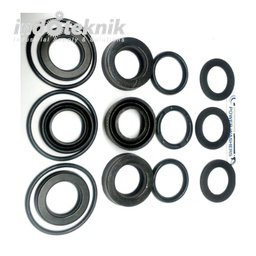 NILFISK PISTON SEAL KIT 1PH 31000343 F/POS3-30