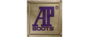 AP Boot